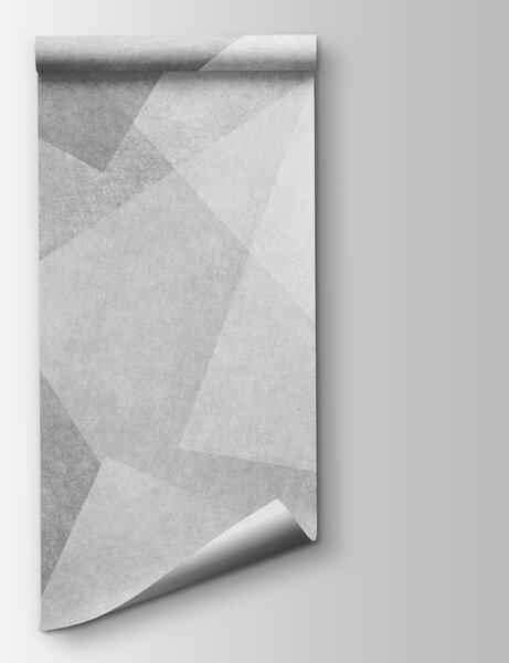 Fototapeta Šedé a bílé pozadí, Geometrické 3D fototapety, Populární fototapety, u74057 - Tapeko.co.cz