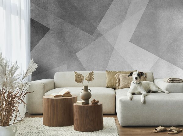 Fototapeta Šedé a bílé pozadí, Geometrické 3D fototapety, Populární fototapety, u74057 - Tapeko.co.cz
