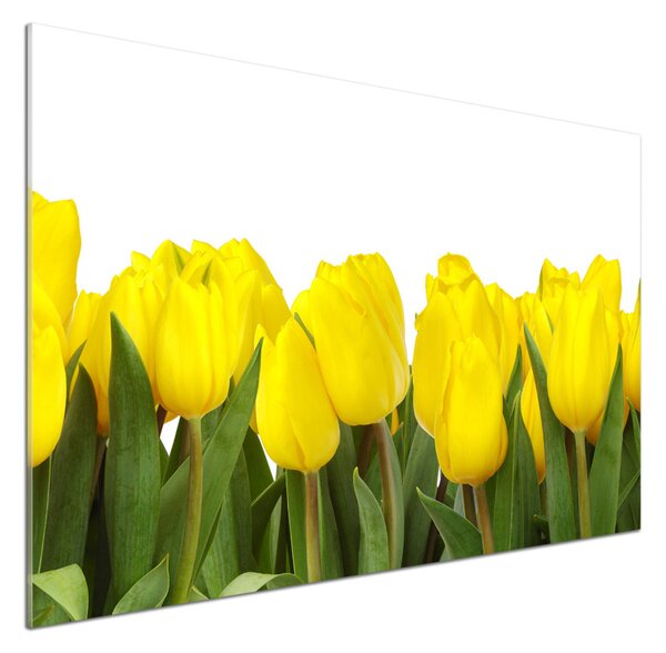 Panel do kuchyně Žluté tulipány pksh-2665979