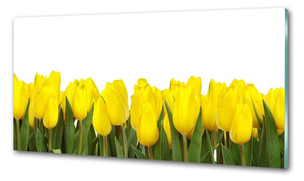 Panel do kuchyně Žluté tulipány pksh-2665979