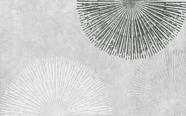 Fototapeta Bílý a zelený kruhový design, Geometrické 3D fototapety, Populární fototapety, u74078 - Tapeko.co.cz