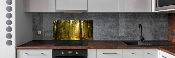 Dekorační panel sklo Les slunce pksh-27621934