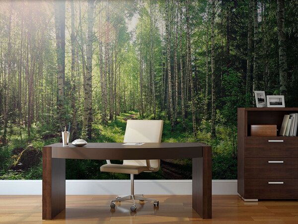 Fototapeta Cesta lesem stromů, Lesní fototapety, Populární fototapety, u74235 - Tapeko.co.cz