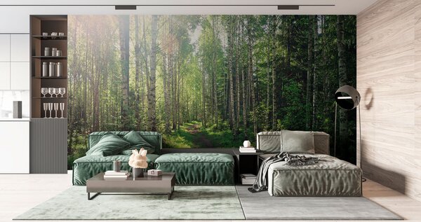 Fototapeta Cesta lesem stromů, Lesní fototapety, Populární fototapety, u74235 - Tapeko.co.cz