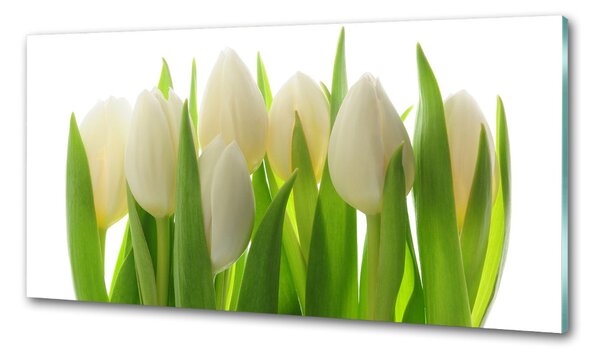 Skleněný panel do kuchynské linky Tulipány pksh-28819889