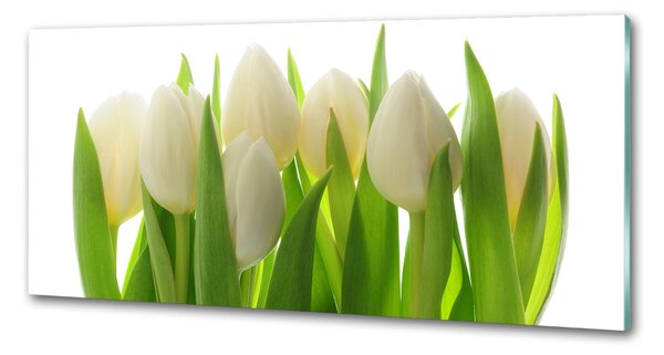 Skleněný panel do kuchynské linky Tulipány pksh-28819889