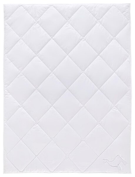 LETNÍ PŘIKRÝVKA, 135/200 cm, vlna Sleeptex - Přikrývky, Online Only