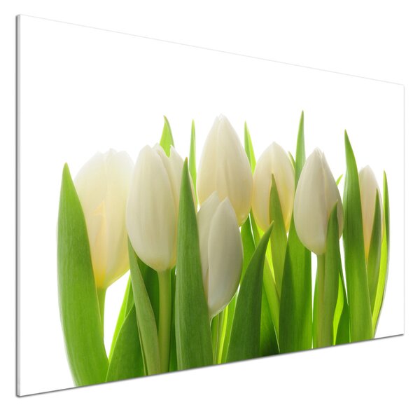 Skleněný panel do kuchynské linky Tulipány pksh-28819889