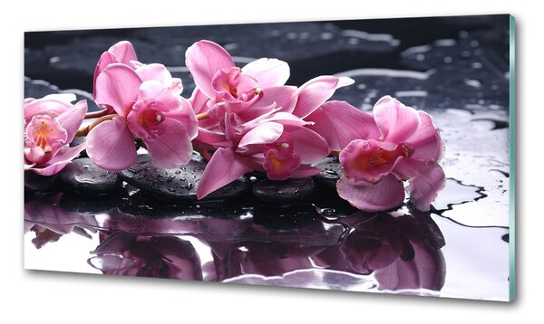 Panel do kuchyně Růžová orchidej pksh-28903356