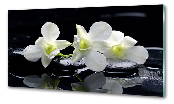 Skleněný panel do kuchynské linky Orchidej pksh-28908662