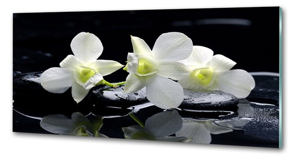 Skleněný panel do kuchynské linky Orchidej pksh-28908662