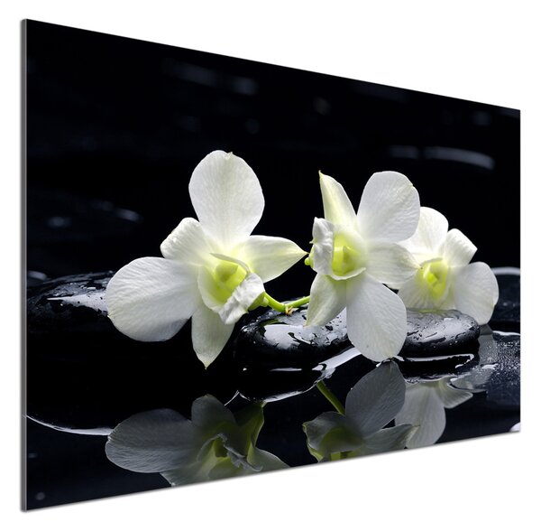 Skleněný panel do kuchynské linky Orchidej pksh-28908662