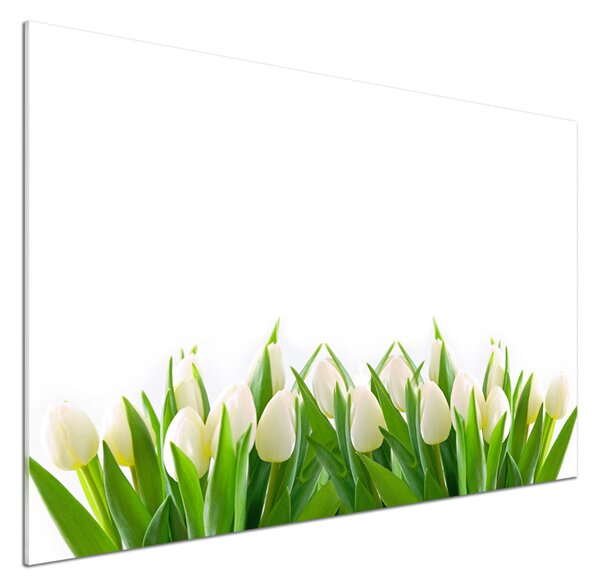 Panel do kuchyně Bílé tulipány pksh-30153186