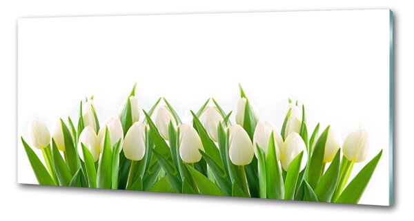 Panel do kuchyně Bílé tulipány pksh-30153186
