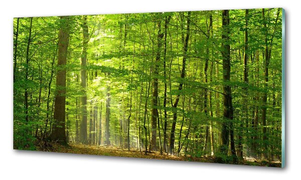 Panel do kuchyně Listnatý strom pksh-31250020