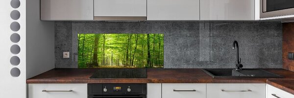 Panel do kuchyně Listnatý strom pksh-31250020