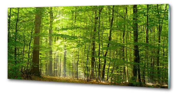 Panel do kuchyně Listnatý strom pksh-31250020
