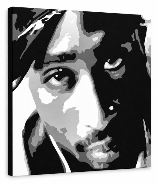 Ručně malovaný obraz POP Art 2 PAC 1 kus 2pac - 50x50 cm