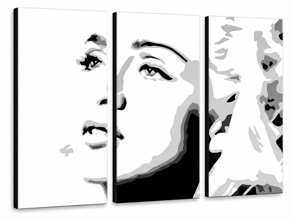 Ručně malovaný obraz Madonna ze 3 kusů, POP Art, MA4 - 60x40 cm
