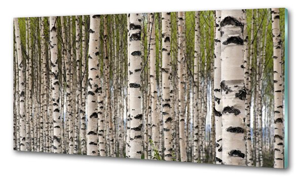 Dekorační panel sklo Břízový les pksh-31867188