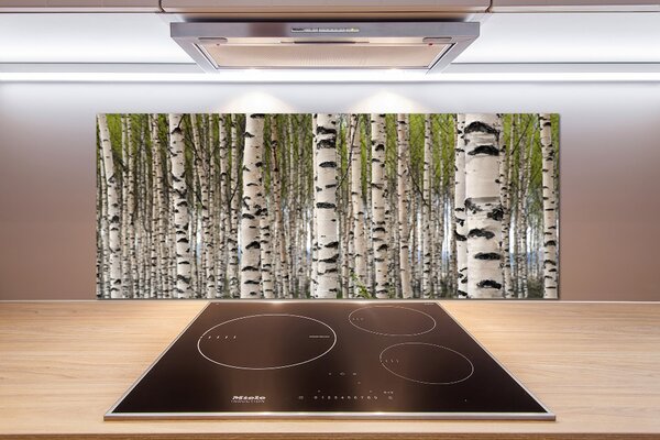 Dekorační panel sklo Břízový les pksh-31867188