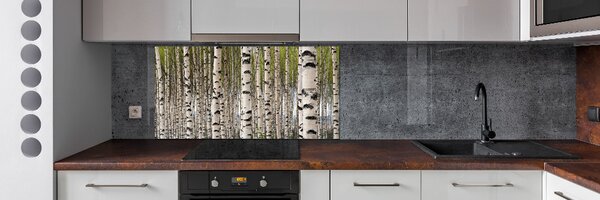 Dekorační panel sklo Břízový les pksh-31867188