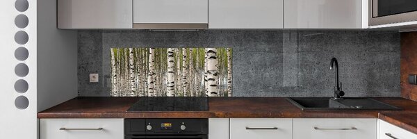 Dekorační panel sklo Břízový les pksh-31867188