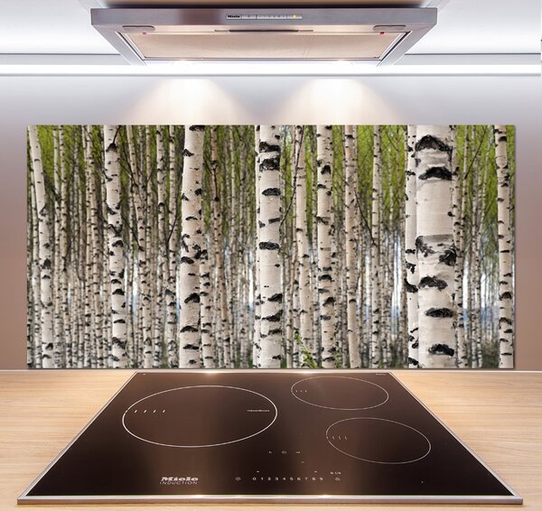 Dekorační panel sklo Břízový les pksh-31867188