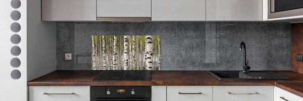 Dekorační panel sklo Břízový les pksh-31867188