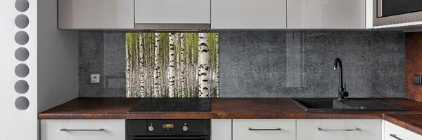 Dekorační panel sklo Břízový les pksh-31867188