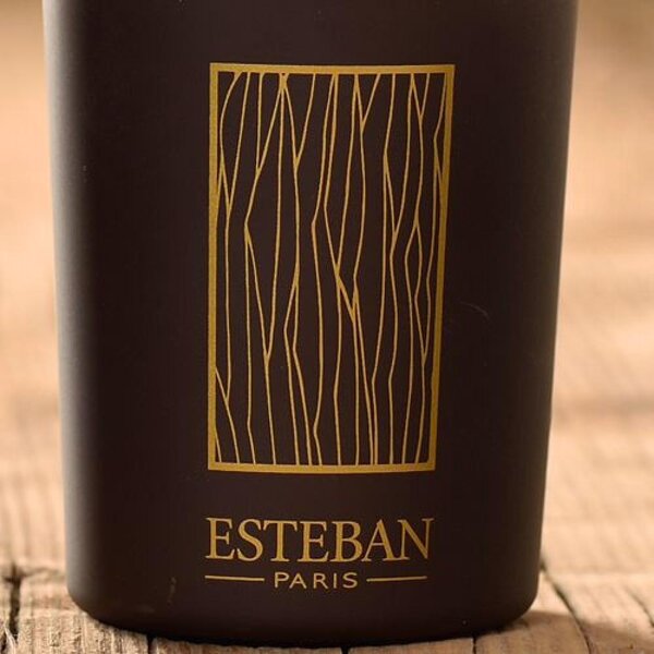 Esteban Tyčinkový difuzér Cédre 100ml
