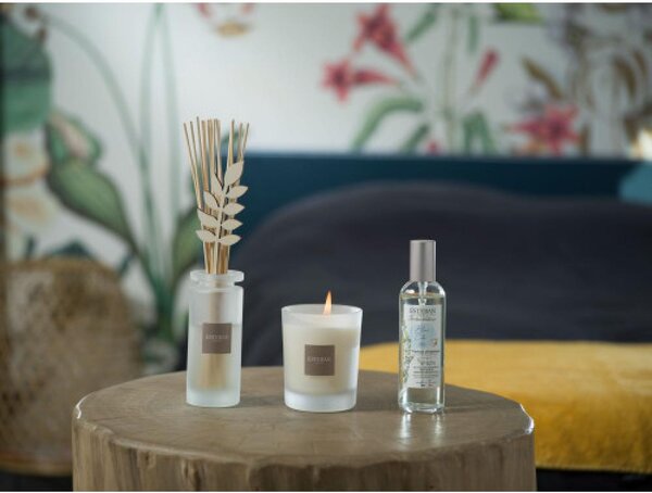 Esteban Tyčinkový difuzér White Cotton 100ml