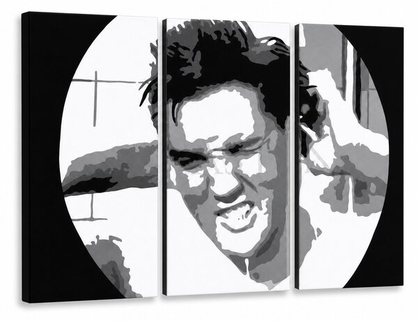 Ručně malovaný obraz POP Art ELVIS 3 díly el2 - 60x40 cm