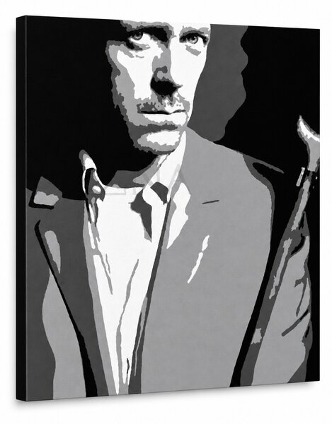 Ručně malovaný obraz POP Art Dr. HOUSE 1 kus dh2 - 70x80 cm