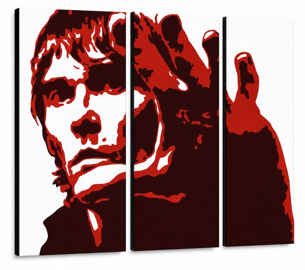 Ručně malovaný obraz POP Art Ian Brown, 3 díly ib3 - 60x40 cm