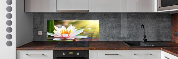 Dekorační panel sklo Vodní lilie pksh-34213537