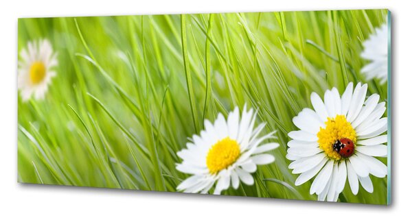Skleněný panel do kuchynské linky Sedmikrásky pksh-34475472