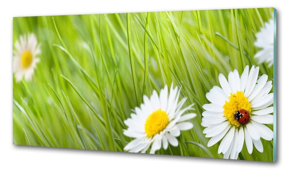Skleněný panel do kuchynské linky Sedmikrásky pksh-34475472