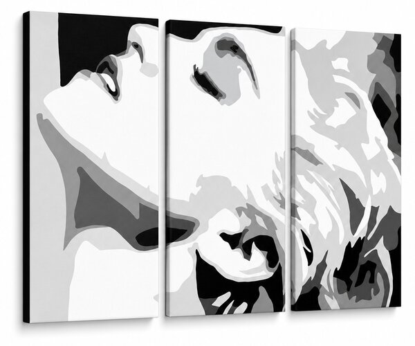Ručně malovaný obraz POP Art MADONNA 3 díly ma5 - 60x40 cm