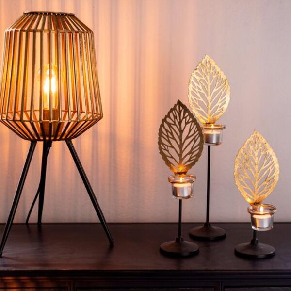 Home Society Svícen Spannmal L