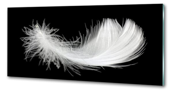 Skleněný panel do kuchyně Pírka pksh-36276177