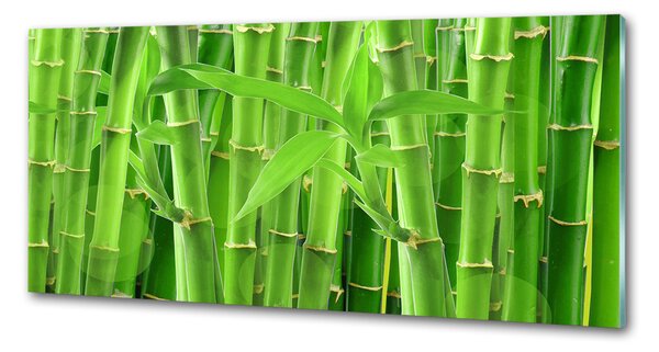 Skleněný panel do kuchyně Bambusy pksh-36350386