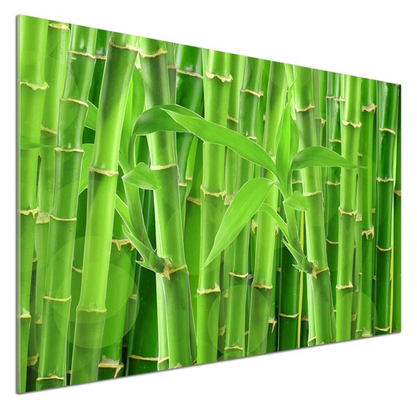 Skleněný panel do kuchyně Bambusy pksh-36350386