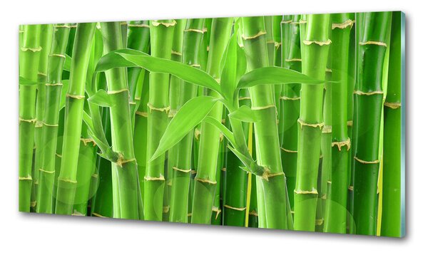 Skleněný panel do kuchyně Bambusy pksh-36350386