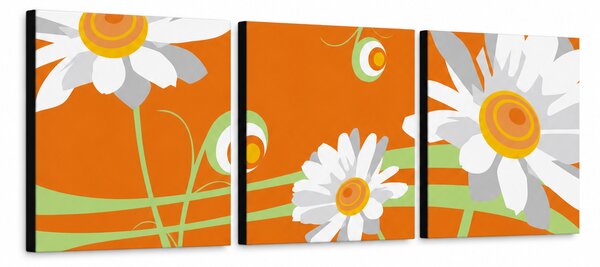 Ručně malovaný obraz květiny POP Art, 3 kusy, flo6 - 120x40 cm