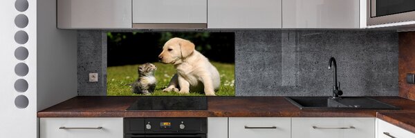 Panel do kuchyně Pes a kočka na louce pksh-38411802