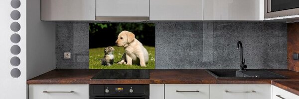 Panel do kuchyně Pes a kočka na louce pksh-38411802