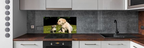 Panel do kuchyně Pes a kočka na louce pksh-38411802