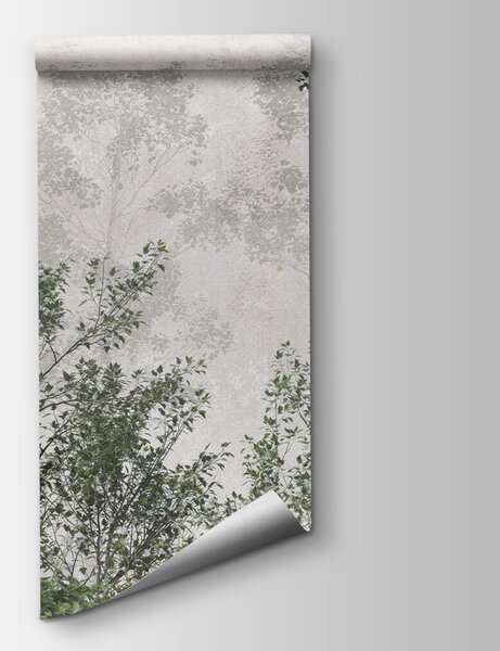 Fototapeta Skupina stromů se zelenými listy, Lesní fototapety, Populární fototapety, u78594 - Tapeko.co.cz
