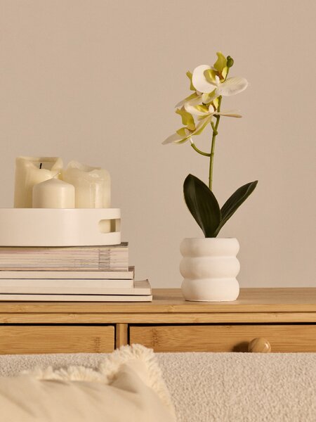 Sinsay - Dekorativní rostlina v květináči – orchidej - bílá